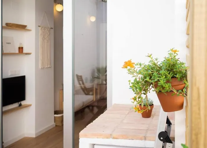 Apartamento Casa Valenciana Con Terraza
