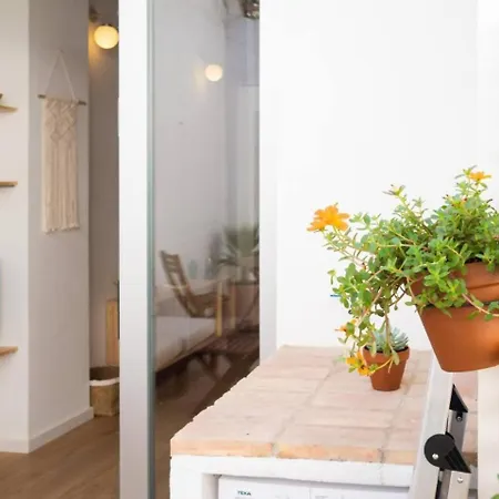 Apartamento Casa Valenciana Con Terraza