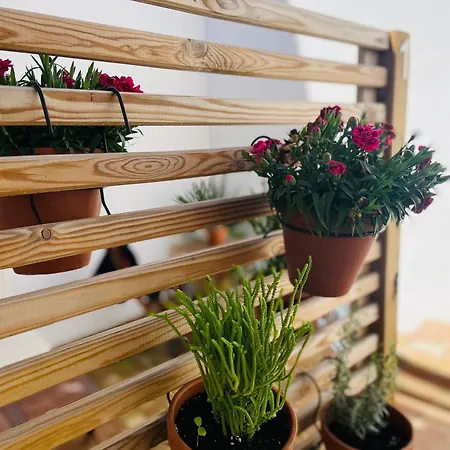 Apartamento Casa Valenciana Con Terraza *